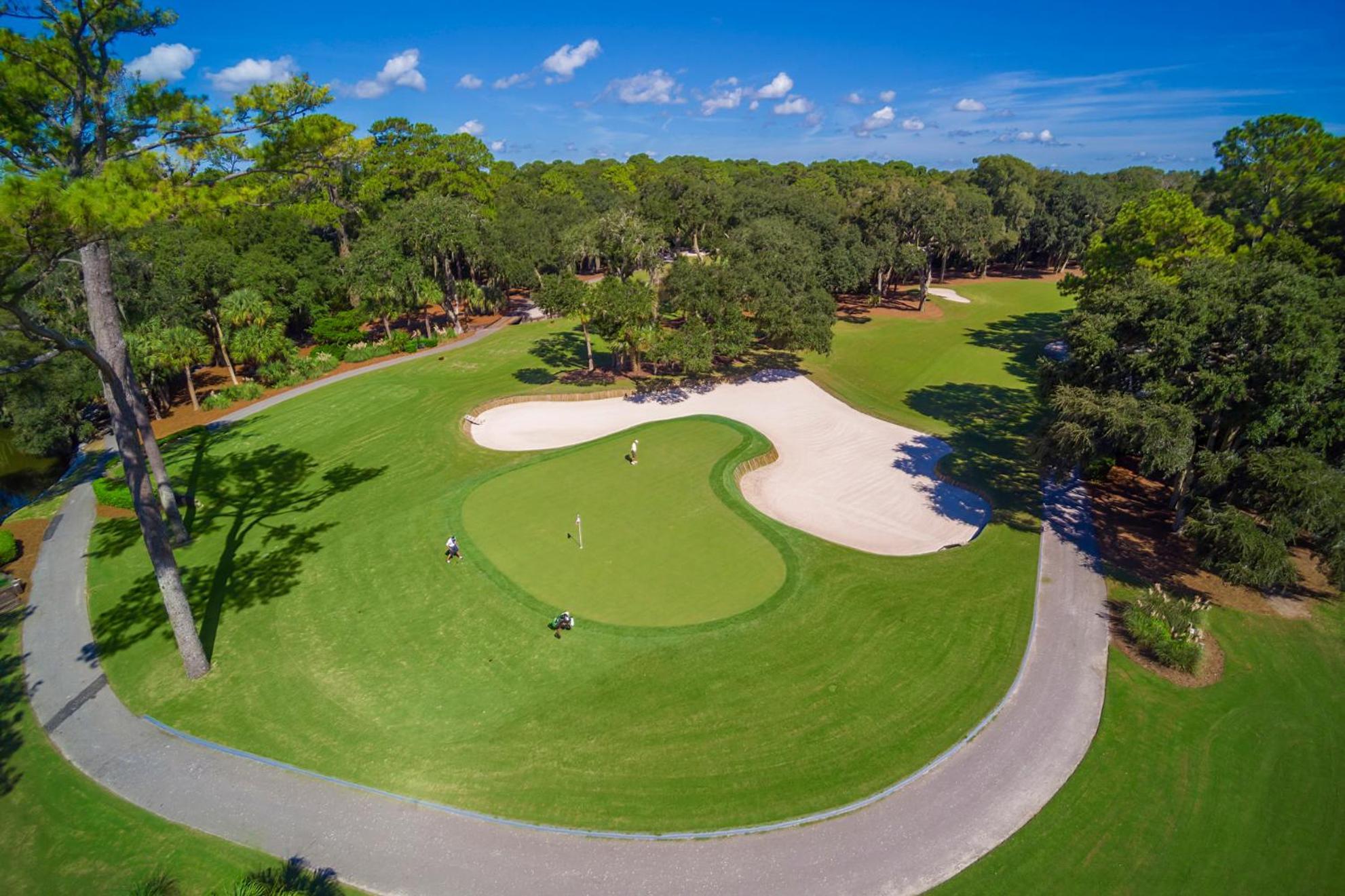6 Wood Ibis - Host2Coast Vila Hilton Head Island Exterior foto